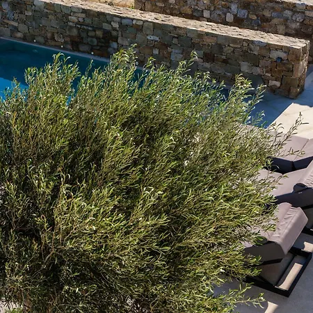فيلة Amnos Mykonos - A Blue Eye Collection