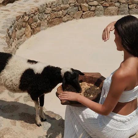 Amnos Mykonos - A Blue Eye Collection Villa